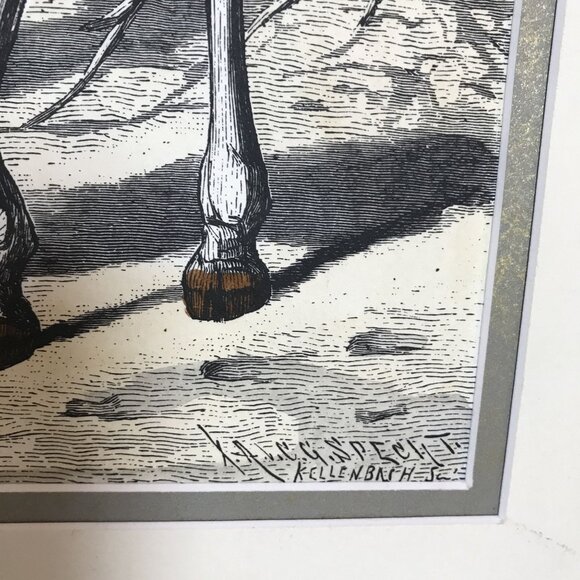 VTG Friedrich Specht "Giraffe" Late 19th Century Woodcut Art Jungle Multi-color - Picture 8 of 12